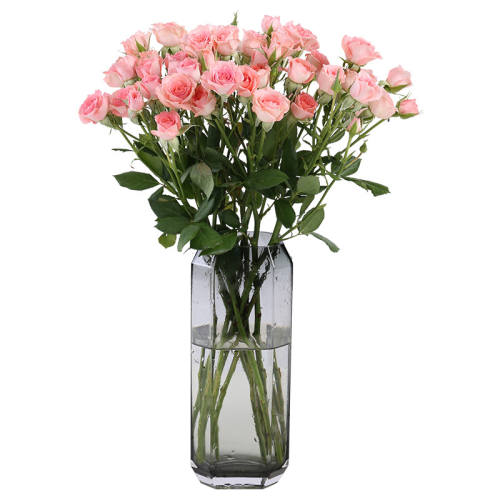 ��ͷ����õ���ʻ�����ֱ��������ƿ ��ɫ�űȡ�10֦��  39.9Ԫ