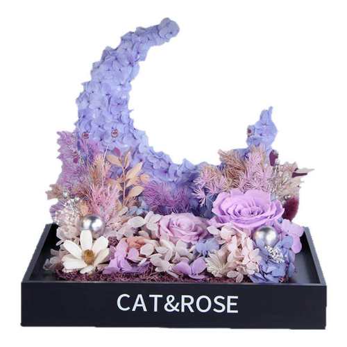 CATROSE�����������ڼ�����������ϵ�С������������  476Ԫ