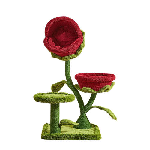 �������¿�˫��ʳ�˻�è����˫��ʳ�˻�  854Ԫ