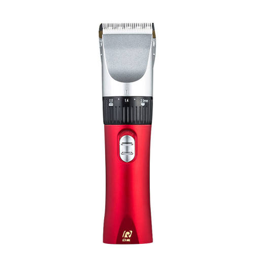 ���� ���ʽרҵ���� ���������� ��ɫ���� 324.99Ԫ��3��(��108.33Ԫ/��)