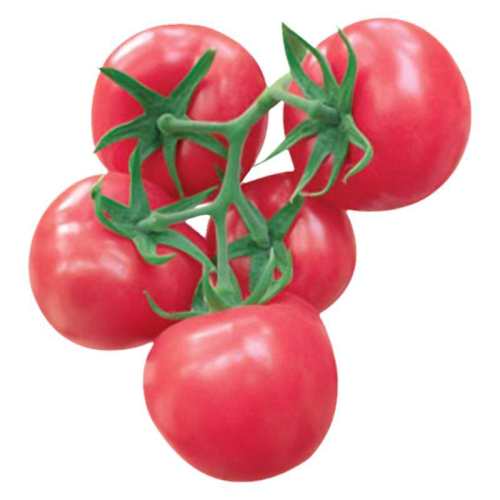 ������������������˹�������ļ��ٺ̷۹ڷ������� 30��ԭװ����2��1��  4.27Ԫ