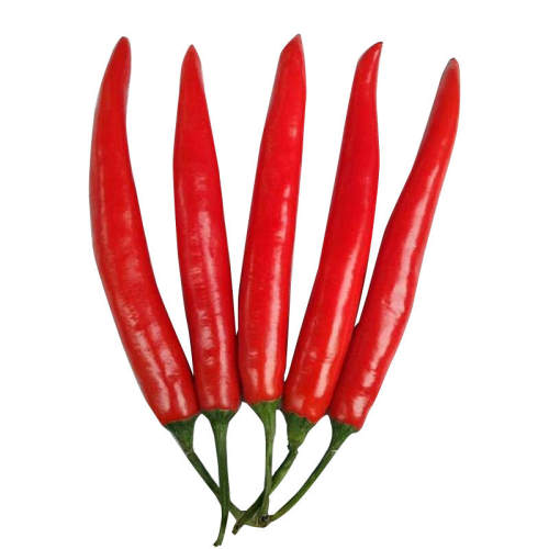 ���콷����С�׽��Ϸ��ļ�����*��ħ���������� 50��/����������  4.27Ԫ