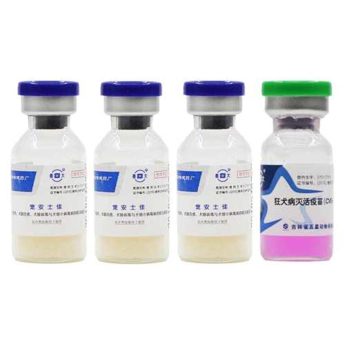 ��Ȯ��������Ȯ����ҩԤ����2g  19.5Ԫ