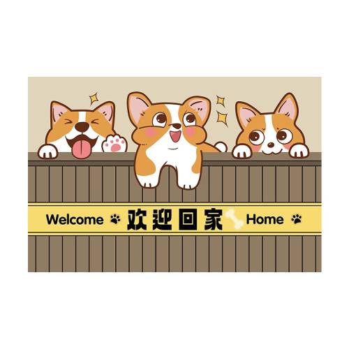 �������뻧�ŵص�������èKK 60��90cm��һ������  28.51Ԫ