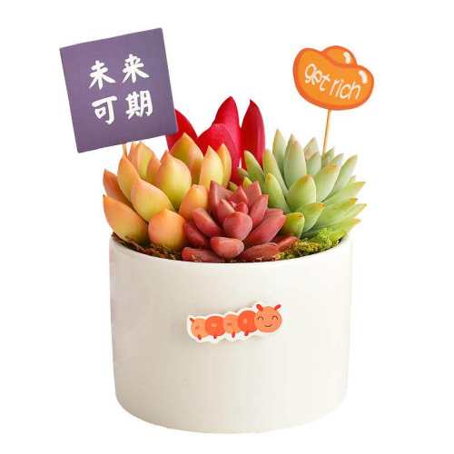 ���̺���������ϰ״�����С���Ʒ�����C���Ͳ���5���ף� �����Ժ�  12.8Ԫ