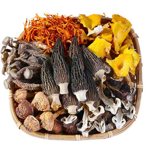 �����������ز���Ұ��������Ǿ������ʰ桿60��x2�������;�+����+6����Ǿ���  23.8Ԫ