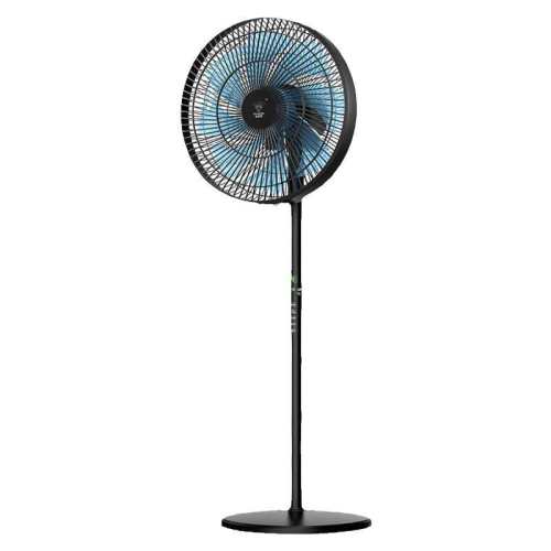 ��ʯ�Ƶ��������ȼ��ô������ʽҡͷ��������2026�¿�ǿ������ 12��-��ɫ��е�˫����ĸ��Ҷ/ǿ��������� 100.3Ԫ(������)