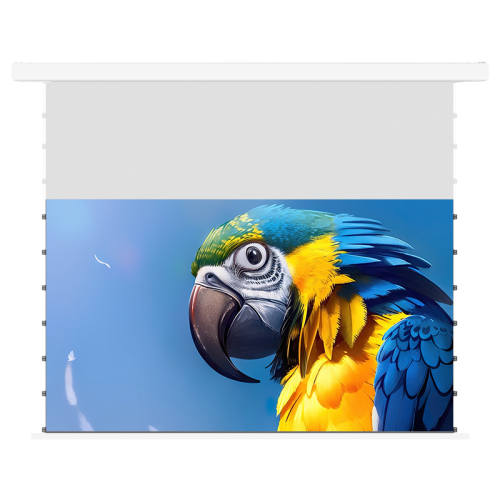 ���ߡ�С�׺С������綯ͶӰĻ��������4k������ά��Ļ 72Ӣ��  390.15Ԫ(������)