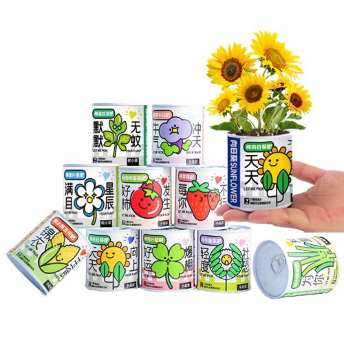 ��ֲС����������ֲ��ͷֲ��ä��ƀ�㲻��ح��ݮ  21.2Ԫ��4��(��5.3Ԫ/��)