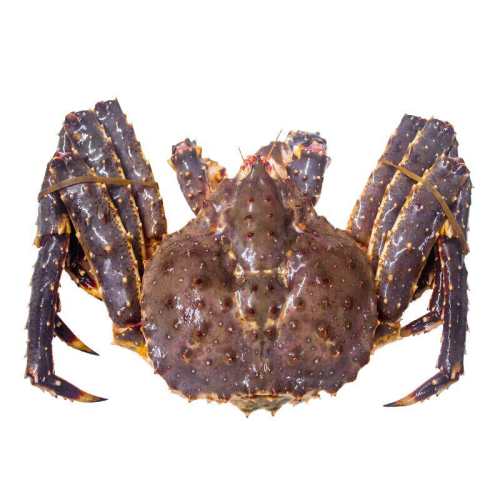 �洫�� ����� ����˹����з  �������뺣�� 3-3.5�� 758.1Ԫ