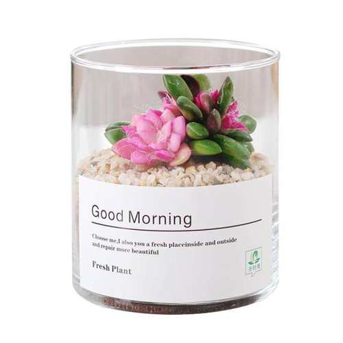 ���ڲ���������ֲ���������������С��ֲ���ػݡ���֦��Ҷ+�����Զ���ˮ�� ����  8.91Ԫ