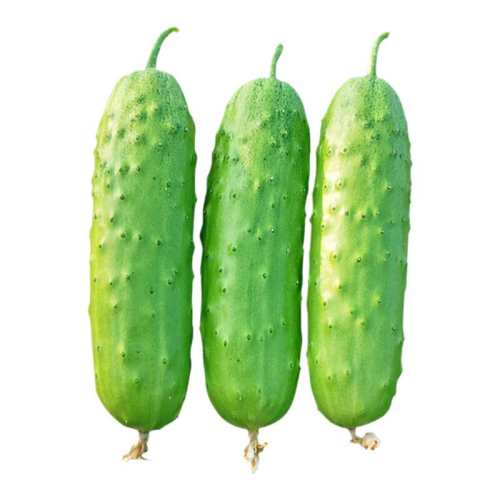 �߲�ˮ���ƹ������������޽��ٺ̸ʴ�?С������ 100��ԭװ����2��1��  4.18Ԫ