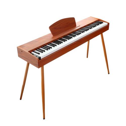 ���ڲ��������೽B101���ܵ����88�ش������˶�ͯ��ѧ�����ŵ�����רҵ�١�B100ԭľ�ء���ѧ�Ƽ�+88������� �ٷ�����  269.1Ԫ