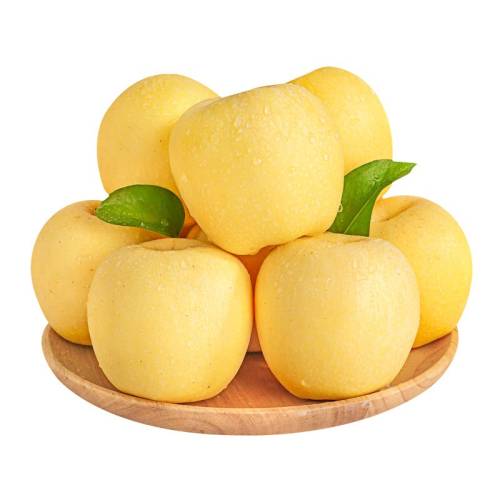 ɽ����̨�ƽ����͸�ʿƻ��������������ƻ��9�������ʱ����ʹ� 70mm������-75mm(����) �����Գԣ� 3�� 19.8Ԫ