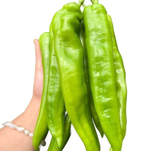 ��Ƥ�������ļ��Ϸ���ֲ���羫Ʒ��Ƥ����3�á�΢�����С�  8.62Ԫ