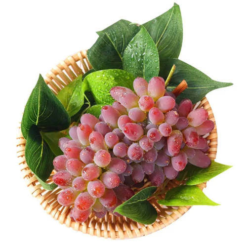 ��˳����ʡ���ժ������������������ˮ�����������������Ѻ����� 2�� ˳�ᱣ�ʡ�С������������ 53.6Ԫ��2��(��26.8Ԫ/��)