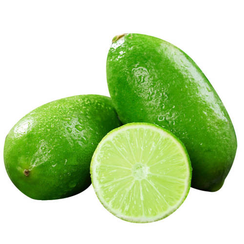 �㶫��ˮ��������һ��ˮ���������ں��Ͻ�������������̲��ר�� 1�� 40-60g 6.8Ԫ