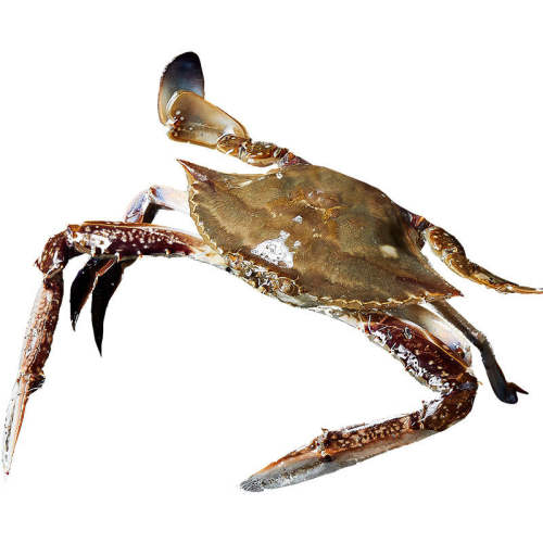 ����з�ش�ĸзҰ����ɽ���з�����䶳��з��з��з��з����˳�� 3-4�� 71.18Ԫ