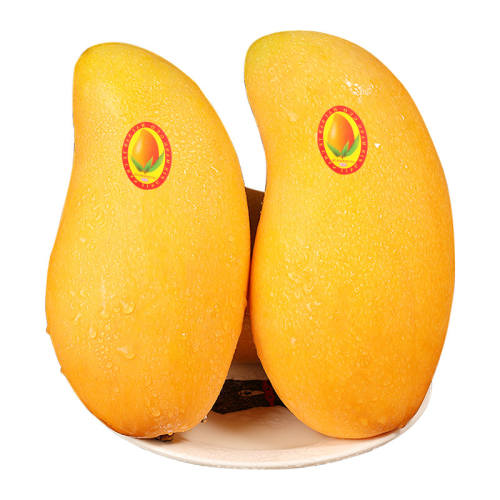 ���ں��Ͻ��ââ�������ȴ�ˮ��������ժ������âˮ��â����ز� 3�� ���й����ԳԳ���/A+��Ʒ�ʣ� 11.58Ԫ