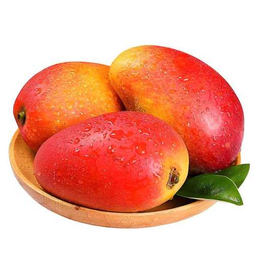 �������ʹ���â���˱�ˮ������â�и�ˮ�������ȴ�����ȫ��ֱ�� 4.5�� 100-150g 17.48Ԫ