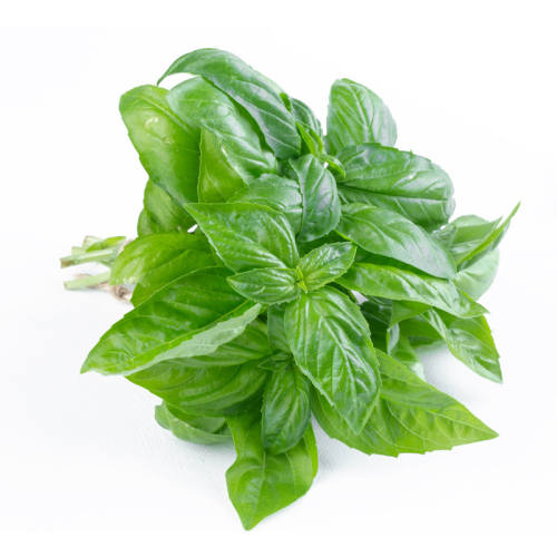 ��������Ҷ250g ʳ������ŷ������������������ུ����������� 100g 13.32Ԫ��2��(��6.66Ԫ/��)