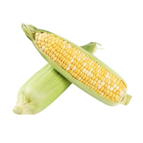 ˳�����������������Ͻ���ˮ�����������װ��Ӱ��������߲� 3��    14.86Ԫ