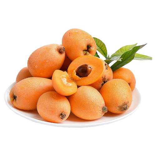 ���������ʹ�������������Ĵ���֦��������ժ���� 250g 20-30g 8.48Ԫ