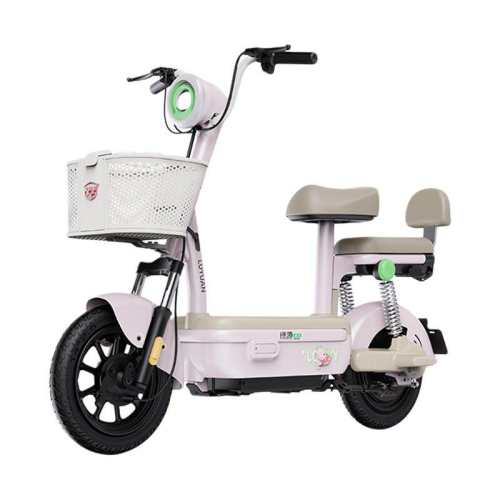 ��Դ�¹��꿨��15�綯���г�48V 20AH ��ɫ������ѡ  1848.02Ԫ