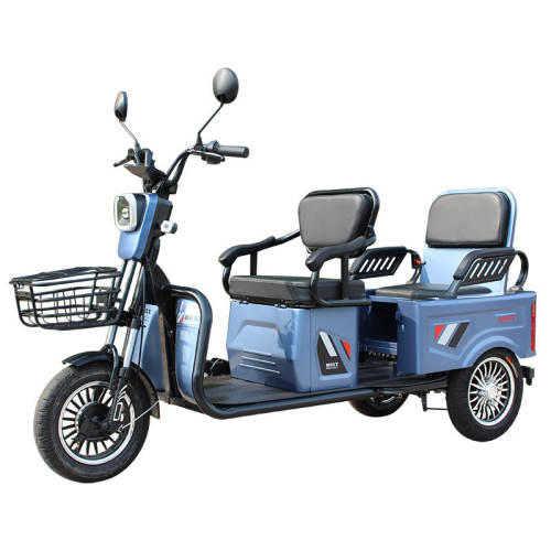 �����綯���ֳ����ͺ�������ѧ48V ����ɫ�㳵��������غͳ������  11503Ԫ��5��(��2300.6Ԫ/��)