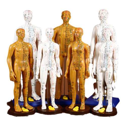 ���ڲ�������٢�ƿ��������ģ��Ѩλ��׼����ɫ  148Ԫ