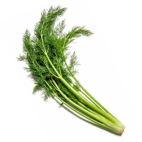 �ٹ��������������������������²��� 6��  9.9Ԫ