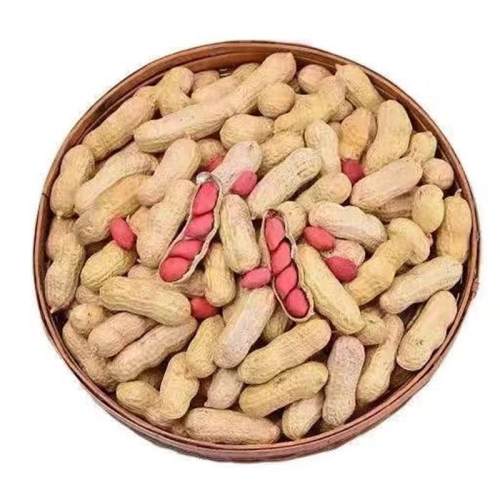 ���Ǻ�Ƥ����ɹ������ũ�����������������»�����2025�»�����1��ɹ�ɴ��Ǻ�Ƥ����  6.4Ԫ