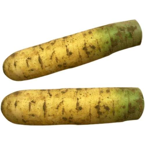 ɽ�����ܲ����ʺ��ܲ��߲���ץ��ũ�����ʱ������ܲ�2/3/5�� 1000g 7-12cm 6.08Ԫ