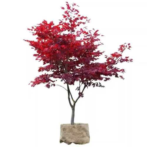 ��3��9.8������ļ������ͺ��ͺ����ձ����輧�����С��40-60���ס�1�š�  6.42Ԫ