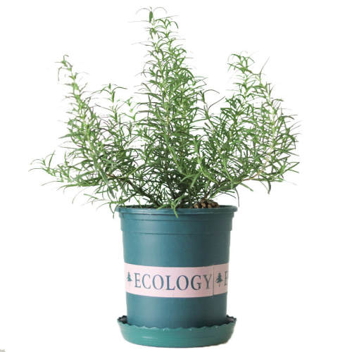 �Ե�����̨�ļ����ʿ�ʳ��ֲ��ֱ���Ե���Ѩ��С�� 5�� ������  26.34Ԫ��3��(��8.78Ԫ/��)