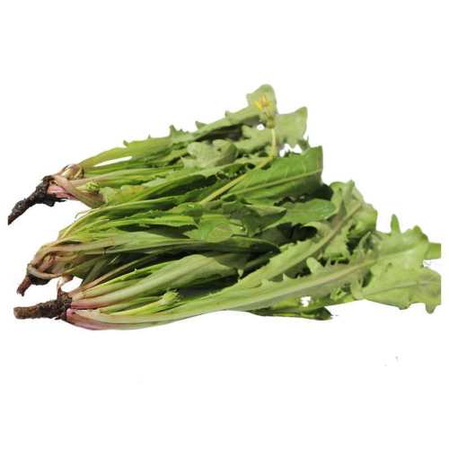 2026�������ѹ�Ӣ����Ұ��Ұ������Ҷ�������Ŷ�պ��ҩ��˳����� 250g ����Ұ���ѹ�Ӣ+������+���ձ���+˳������ר�� 7.48Ԫ