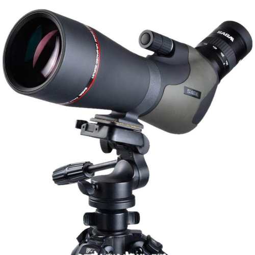 SAGA��٤��ھ�רҵ�������ײ�1��������20~60X80ED�ٷ�����  1559.2Ԫ