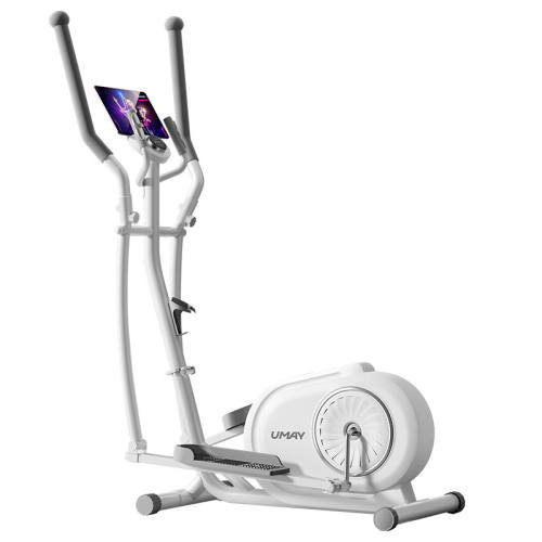 ������Բ�����������˻�ָ�������ͻ����š�12��ǿ������-8KG������-��˽�̿γ��ܿ�-�ֻ�֧��  590.01Ԫ