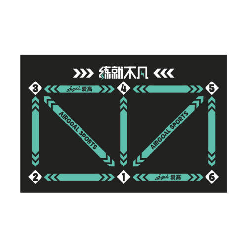 ��������ѵ���桾�͸�����Ƶ�Ρ���������4������SG1000B-4T��  119.8Ԫ��2��(��59.9Ԫ/��)