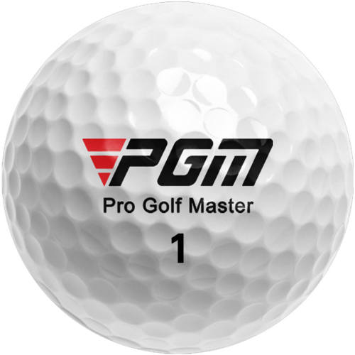 pgm�߶�������������� ����ֱ��ȫ�¶��������10����  25.2Ԫ