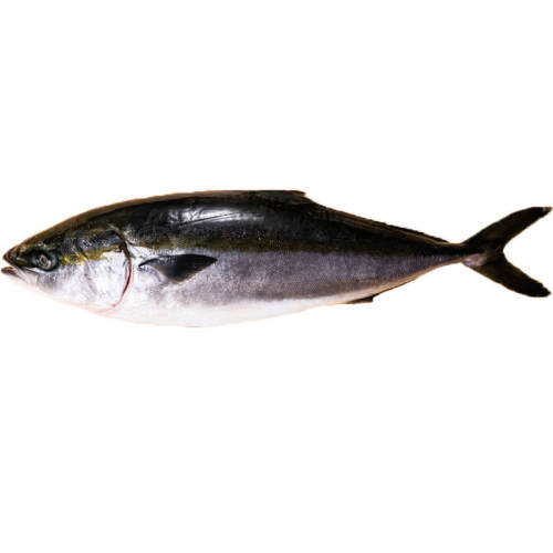 �ش�ƽ�����22-20�ﺣ���������������������䶳������������� һ������14-16�˳������+��а�װ�� 157.19Ԫ