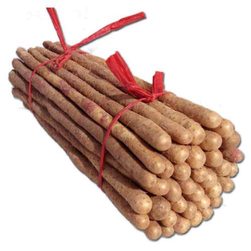 ���ڲ������ܼ���������ɽҩʵ��װ������ѡ�����ʡ�����3��װ  27.29Ԫ