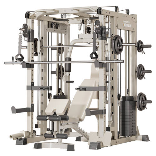 ���żܽ������ļ��ö๦��һ���ʷ��˹�ۺ�ѵ��������������Ƽ�ʷ��˹������������������  4823.01Ԫ