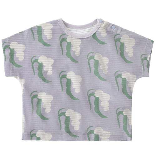 ����С�������ļ�����T��������֮���� 73cm  111.78Ԫ��3��(��37.26Ԫ/��)