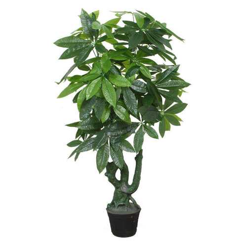 ������ֲ������װ��ֲ��60���׷������������裩�ؼۿ�  20.02Ԫ