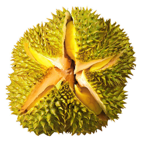 ˳������̩����������������������ˮ��һ�������ǰ������������ حA����ѡح2-3�ﵥ��װحС���Գ� 78.8Ԫ