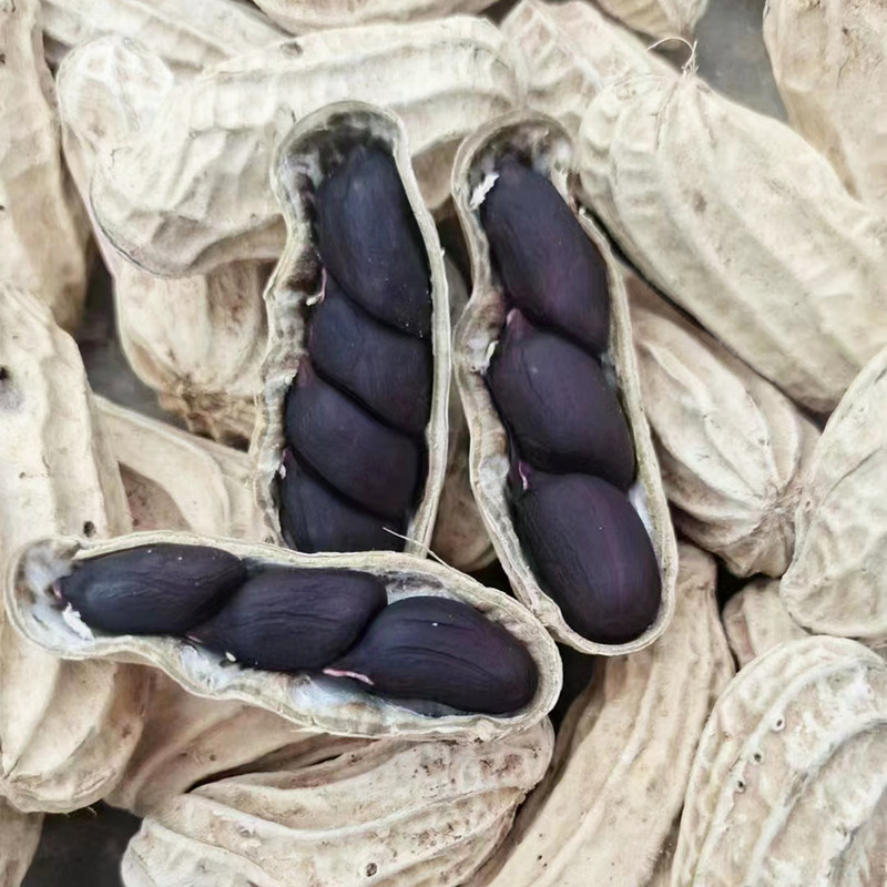 ���Ϻڻ��� ���Ǹ���С����Ƥ������ �ն��� 13.74Ԫ