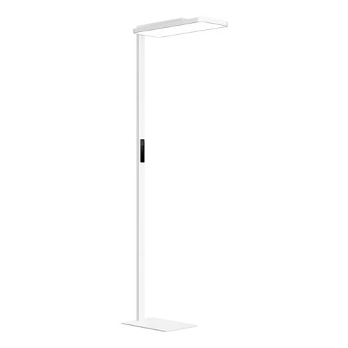 ���ڲ���������Ʒ��С�׹����׼���ʽѧϰ��2��·�ƻ���ѧϰר��̨����ص��׼���ʽѧϰ��2  1996.65Ԫ(������)