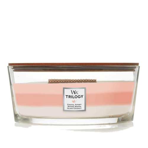 �ۻ��㣺woodwick��������¯��������ר��������� ���ջ���  279.19Ԫ(��88VIP 95��)