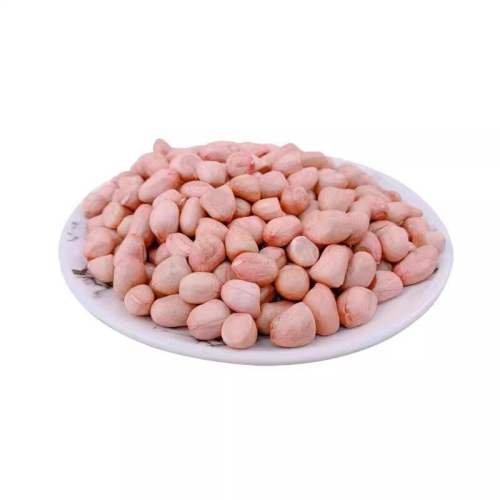 ��ɳ������2025�����С��ɳũ���»����ɻ������ʻ�����ɢװ�»���С���������-25���»�  4.7Ԫ